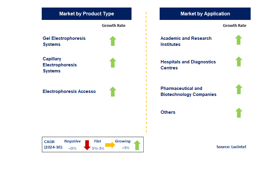 Electrophoresis Equipment and Supply by Segment